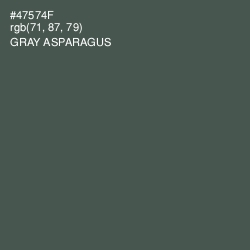 #47574F - Gray Asparagus Color Image