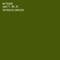 #475808 - Verdun Green Color Image
