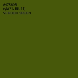 #47580B - Verdun Green Color Image