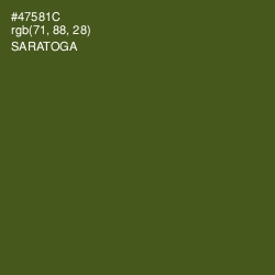 #47581C - Saratoga Color Image