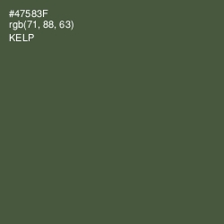 #47583F - Kelp Color Image