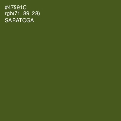 #47591C - Saratoga Color Image