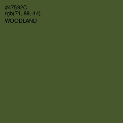 #47592C - Woodland Color Image