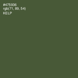 #475936 - Kelp Color Image