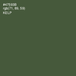 #47593B - Kelp Color Image