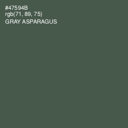 #47594B - Gray Asparagus Color Image