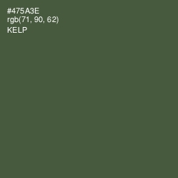 #475A3E - Kelp Color Image