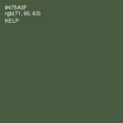 #475A3F - Kelp Color Image