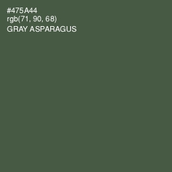 #475A44 - Gray Asparagus Color Image