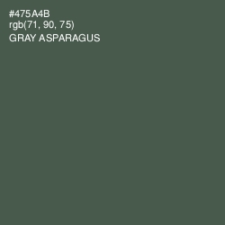 #475A4B - Gray Asparagus Color Image