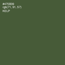 #475B39 - Kelp Color Image