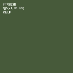 #475B3B - Kelp Color Image