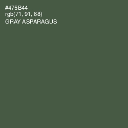 #475B44 - Gray Asparagus Color Image