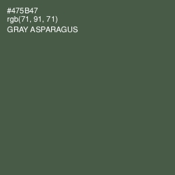 #475B47 - Gray Asparagus Color Image