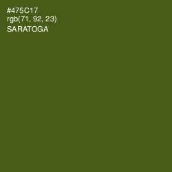 #475C17 - Saratoga Color Image