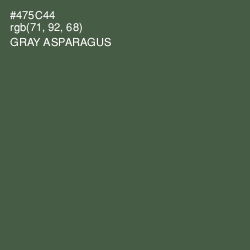 #475C44 - Gray Asparagus Color Image