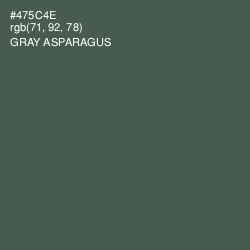 #475C4E - Gray Asparagus Color Image