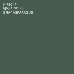 #475C4F - Gray Asparagus Color Image