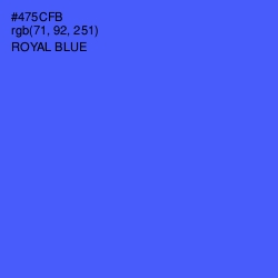 #475CFB - Royal Blue Color Image