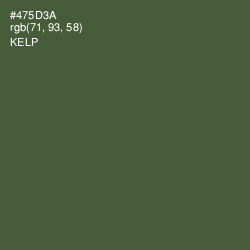 #475D3A - Kelp Color Image