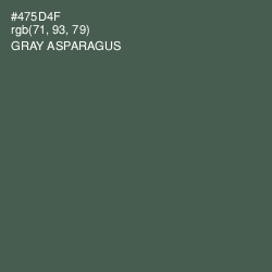 #475D4F - Gray Asparagus Color Image