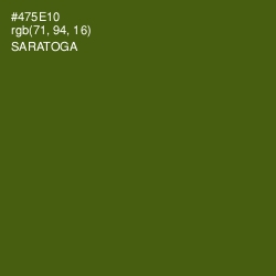 #475E10 - Saratoga Color Image