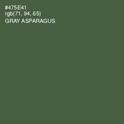 #475E41 - Gray Asparagus Color Image