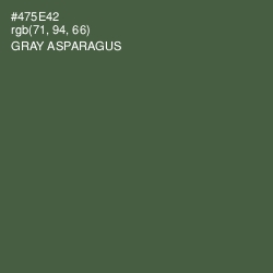 #475E42 - Gray Asparagus Color Image