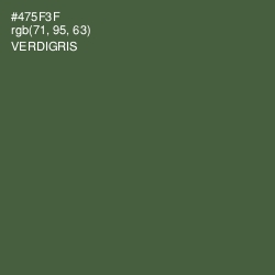 #475F3F - Verdigris Color Image