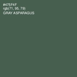 #475F4F - Gray Asparagus Color Image