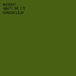 #476011 - Green Leaf Color Image