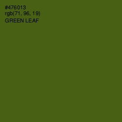 #476013 - Green Leaf Color Image