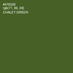 #476026 - Chalet Green Color Image