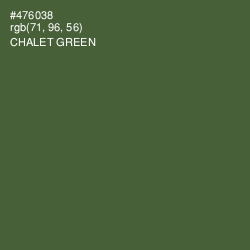 #476038 - Chalet Green Color Image