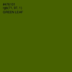 #476101 - Green Leaf Color Image