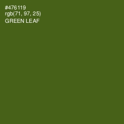 #476119 - Green Leaf Color Image