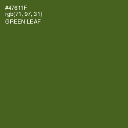 #47611F - Green Leaf Color Image