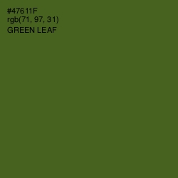 #47611F - Green Leaf Color Image