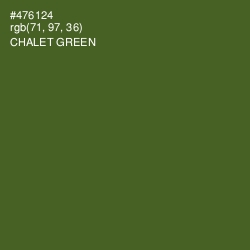 #476124 - Chalet Green Color Image