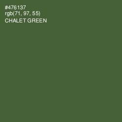 #476137 - Chalet Green Color Image