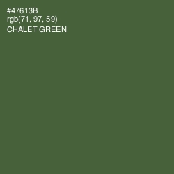 #47613B - Chalet Green Color Image