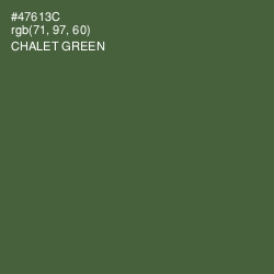 #47613C - Chalet Green Color Image