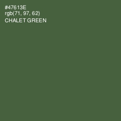 #47613E - Chalet Green Color Image