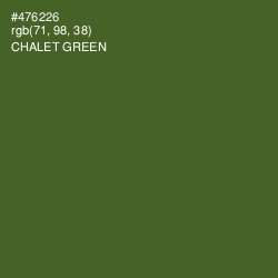 #476226 - Chalet Green Color Image