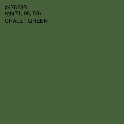 #47623B - Chalet Green Color Image