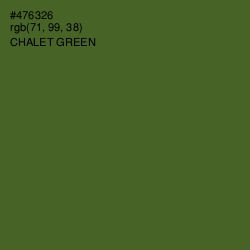 #476326 - Chalet Green Color Image