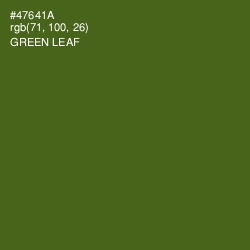 #47641A - Green Leaf Color Image