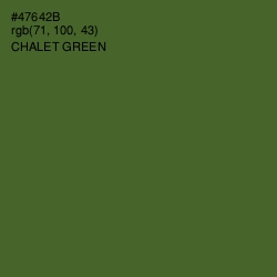 #47642B - Chalet Green Color Image