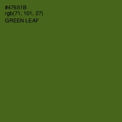 #47651B - Green Leaf Color Image