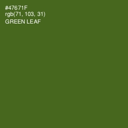 #47671F - Green Leaf Color Image